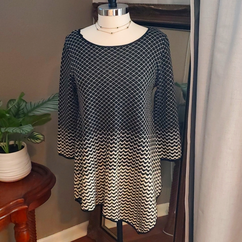 NWT Chelsea and Theodore sweater